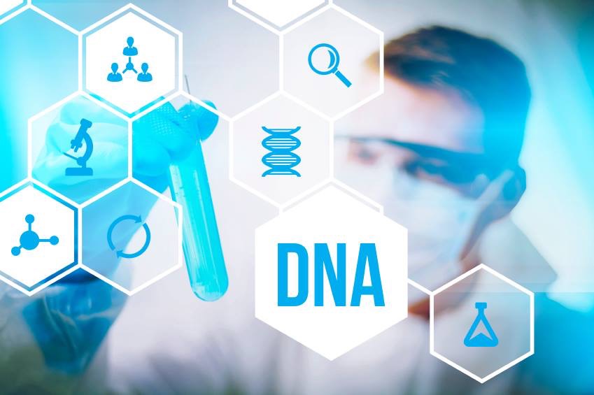 DNA-Test im zertifizierten Labor